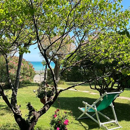 B&B I Versi Del Mare Розето-дельи-Абруцци Экстерьер фото